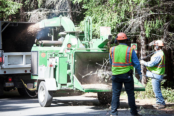 Best Seasonal Cleanup (Spring/Fall)  in USA